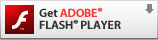 Get ADOBE FLASH PLAYER